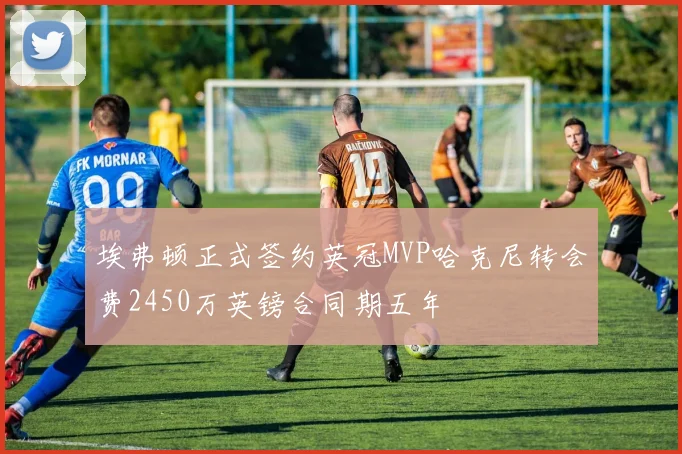 埃弗顿正式签约英冠MVP哈克尼转会费2450万英镑合同期五年